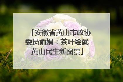 安徽省黄山市政协委员俞娟：茶叶绘就黄山民生新图景