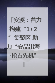安溪：着力构建“1+2”集聚区 助力“安品出海·抢占先机”