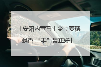 安阳内黄马上乡：麦穗飘香 “丰”景正好