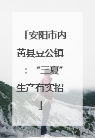 安阳市内黄县豆公镇：“三夏”生产有实招