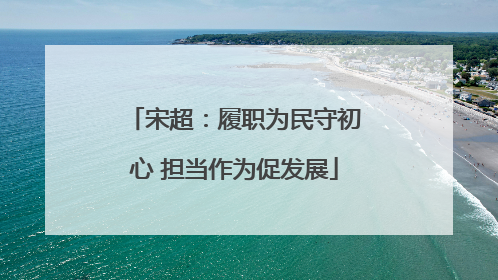 宋超：履职为民守初心 担当作为促发展