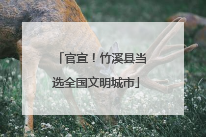 官宣！竹溪县当选全国文明城市
