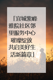 宜城紫峰雅院社区邻里服务中心璀璨绽放 共启美好生活新篇章