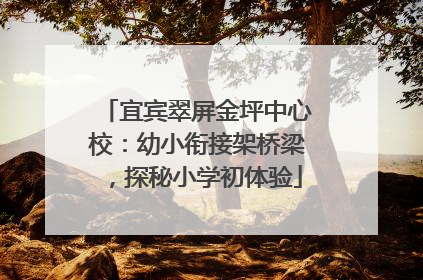 宜宾翠屏金坪中心校：幼小衔接架桥梁，探秘小学初体验