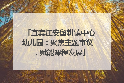 宜宾江安留耕镇中心幼儿园：聚焦主题审议，赋能课程发展