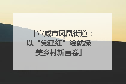 宣威市凤凰街道：以“党建红”绘就绿美乡村新画卷
