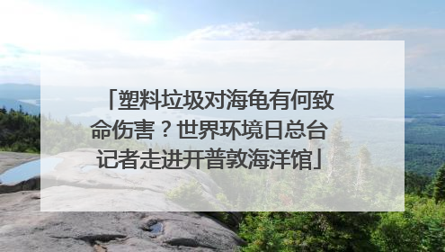 塑料垃圾对海龟有何致命伤害？世界环境日总台记者走进开普敦海洋馆