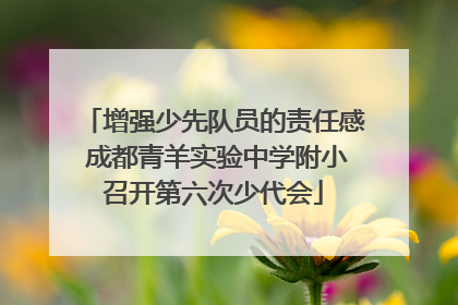 增强少先队员的责任感 成都青羊实验中学附小召开第六次少代会