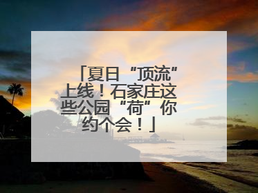 夏日“顶流”上线！石家庄这些公园“荷”你约个会！