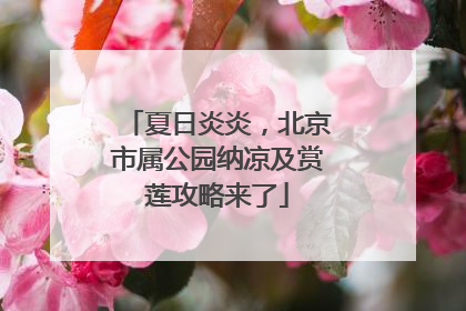 夏日炎炎，北京市属公园纳凉及赏莲攻略来了