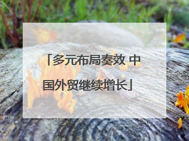 多元布局奏效 中国外贸继续增长