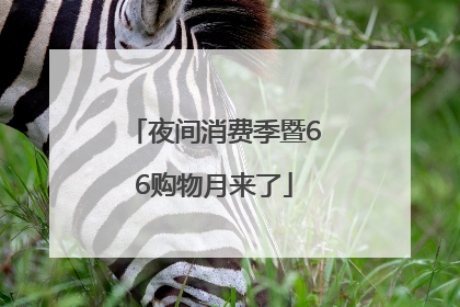 夜间消费季暨66购物月来了