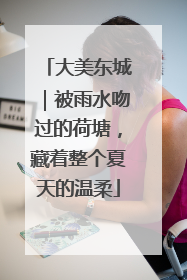 大美东城｜被雨水吻过的荷塘，藏着整个夏天的温柔