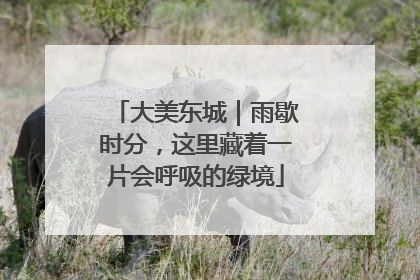 大美东城｜雨歇时分，这里藏着一片会呼吸的绿境