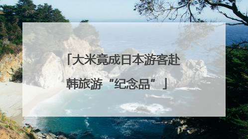 大米竟成日本游客赴韩旅游“纪念品”