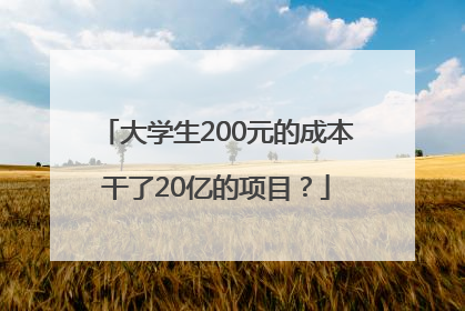 大学生200元的成本干了20亿的项目？