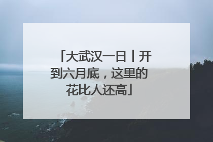 大武汉一日︱开到六月底，这里的花比人还高