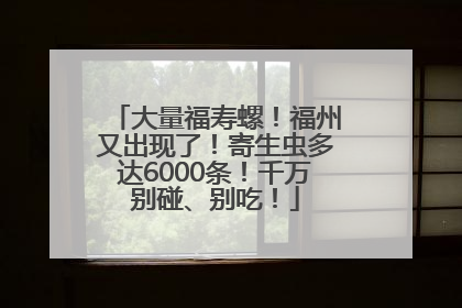 大量福寿螺！福州又出现了！寄生虫多达6000条！千万别碰、别吃！