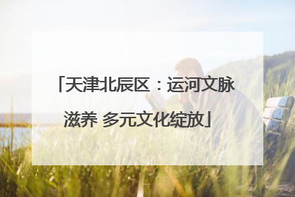 天津北辰区：运河文脉滋养 多元文化绽放