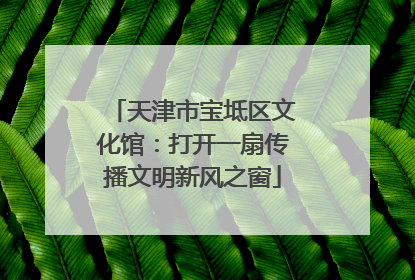 天津市宝坻区文化馆：打开一扇传播文明新风之窗