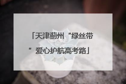 天津蓟州“绿丝带”爱心护航高考路