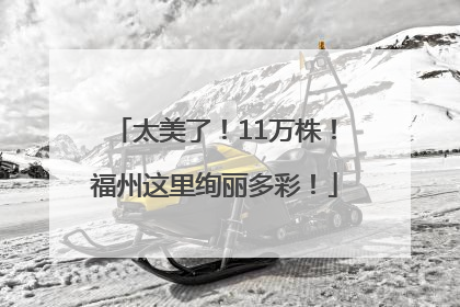 太美了！11万株！福州这里绚丽多彩！