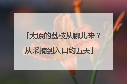 太原的荔枝从哪儿来？从采摘到入口约五天