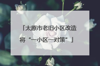 太原市老旧小区改造将“一小区一对策”