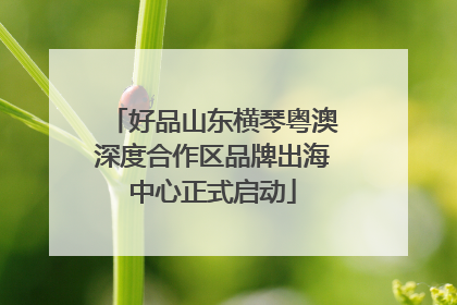 好品山东横琴粤澳深度合作区品牌出海中心正式启动