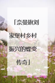 奈曼旗刘家堡村乡村振兴的蝶变传奇