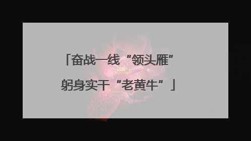 奋战一线“领头雁” 躬身实干“老黄牛”