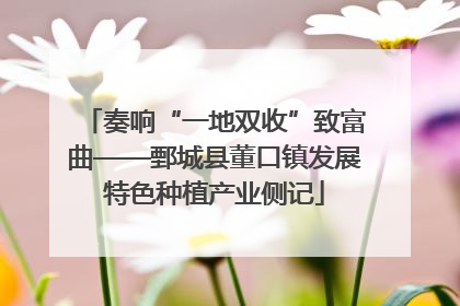 奏响“一地双收”致富曲——鄄城县董口镇发展特色种植产业侧记