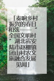 奏响乡村振兴的春日和弦——“全国文明村”湖北省安陆市赵棚镇团山村农文旅融合发展见闻