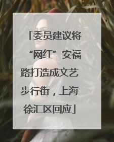 委员建议将“网红”安福路打造成文艺步行街，上海徐汇区回应