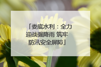 娄底水利：全力迎战强降雨 筑牢防汛安全屏障