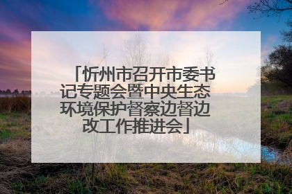 忻州市召开市委书记专题会暨中央生态环境保护督察边督边改工作推进会
