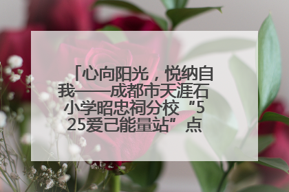 心向阳光，悦纳自我——成都市天涯石小学昭忠祠分校“525爱己能量站”点亮孩子心灵之旅