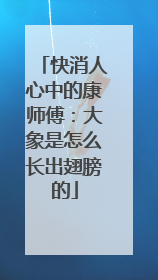 快消人心中的康师傅：大象是怎么长出翅膀的