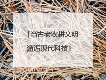 当古老农耕文明邂逅现代科技