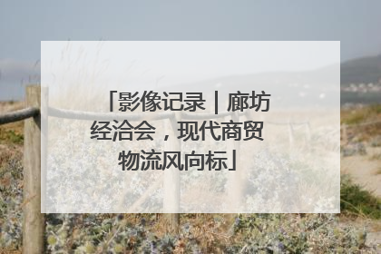 影像记录｜廊坊经洽会，现代商贸物流风向标