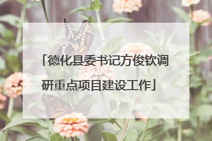 德化县委书记方俊钦调研重点项目建设工作