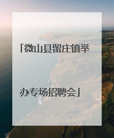 微山县留庄镇举办专场招聘会