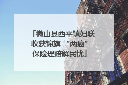 微山县西平镇妇联收获锦旗 “两癌”保险理赔解民忧