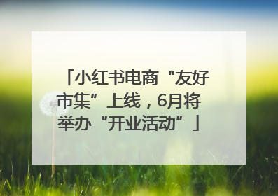 小红书电商“友好市集”上线，6月将举办“开业活动”