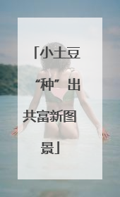 小土豆“种”出共富新图景