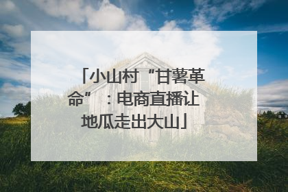 小山村“甘薯革命”：电商直播让地瓜走出大山