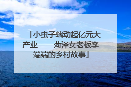 小虫子蠕动起亿元大产业——菏泽女老板李端端的乡村故事