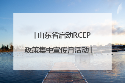 山东省启动RCEP政策集中宣传月活动