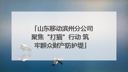山东移动滨州分公司聚焦“打猫”行动 筑牢群众财产防护堤