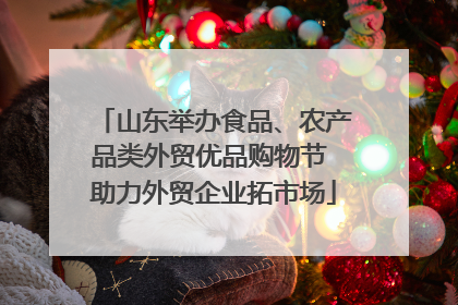 山东举办食品、农产品类外贸优品购物节 助力外贸企业拓市场
